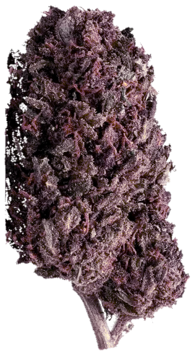 Blue Diesel