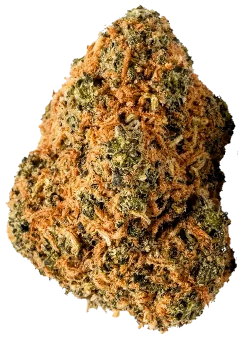 Blueberry Muffin