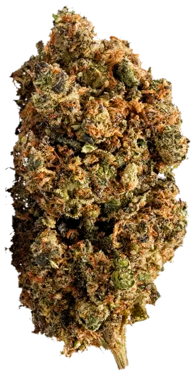 Bubble Gum
